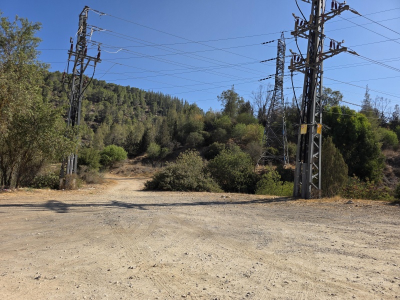 קובץ:2025-08-06T09 21 04.989631297153.jpg