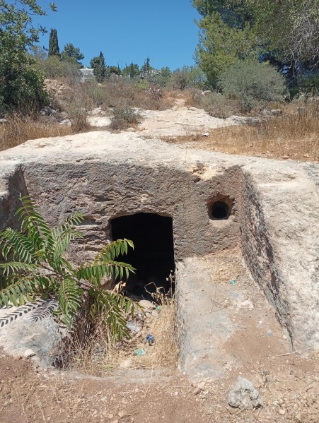 קובץ:2025-08-06T11 45 07.207609314821.jpg