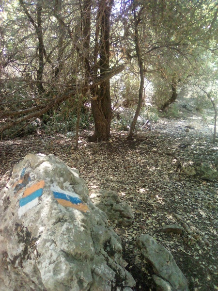 קובץ:2025-08-06T12 20 49.823001635083.jpg