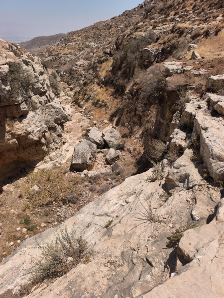 קובץ:2025-08-06T12 57 06.253239220903.jpg
