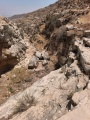 תמונה ממוזערת לגרסה מתאריך 12:51, 11 באוגוסט 2025