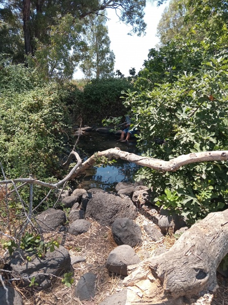 קובץ:2025-08-07T13 52 22.748868525563.jpg