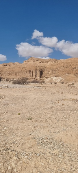 קובץ:2025-08-08T07 49 14.552852905836.jpg