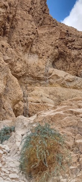 קובץ:2025-08-08T07 52 15.485587844570.jpg