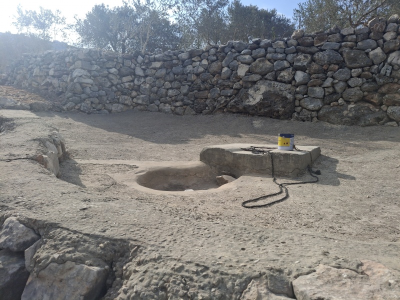 קובץ:2025-08-08T08 23 49.157033241321.jpg