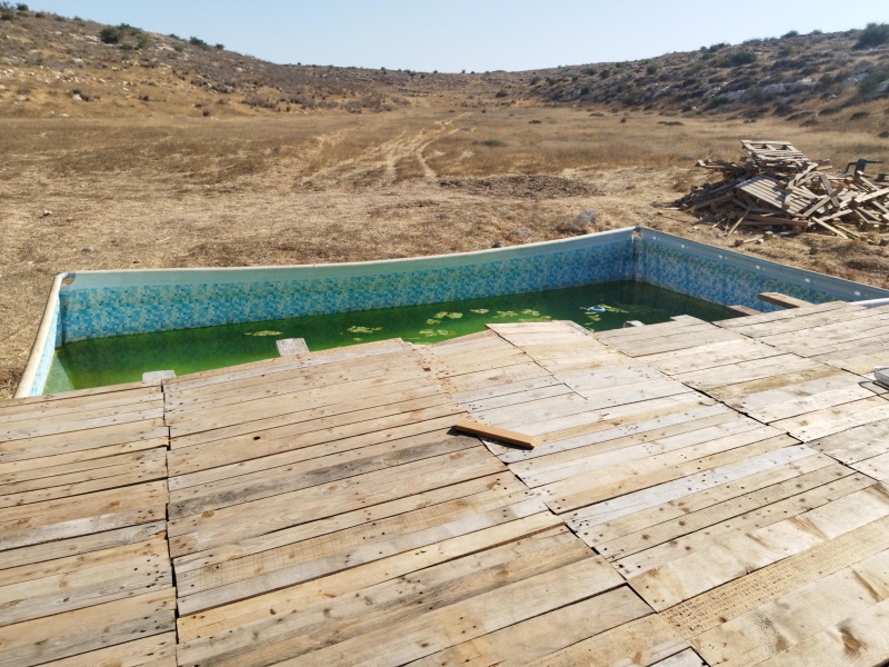 קובץ:2025-08-08T08 48 17.751519255950.jpg
