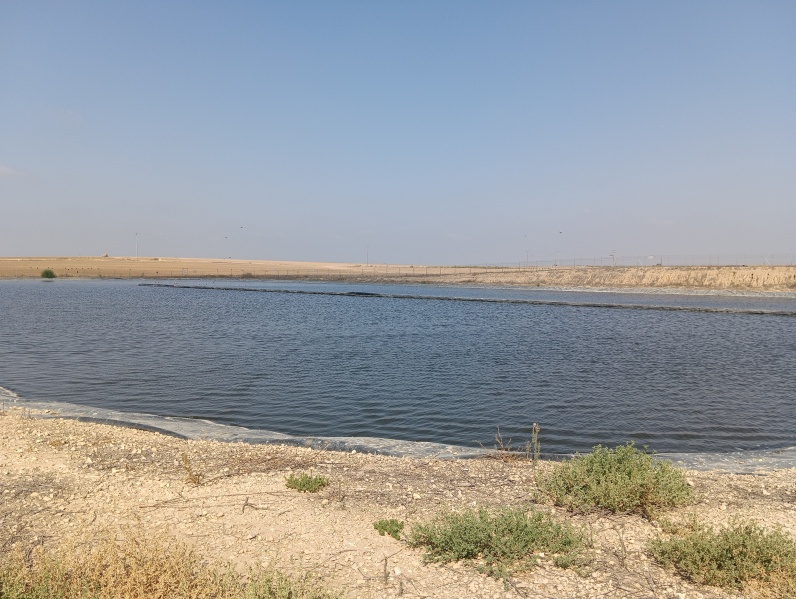 קובץ:2025-08-08T15 57 28.575109403137.jpg