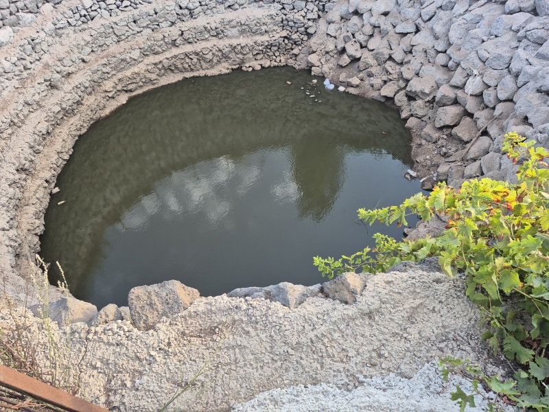 קובץ:2025-08-09T06 35 50.724203217577.jpg