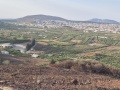 תמונה ממוזערת לגרסה מתאריך 03:43, 9 באוגוסט 2025