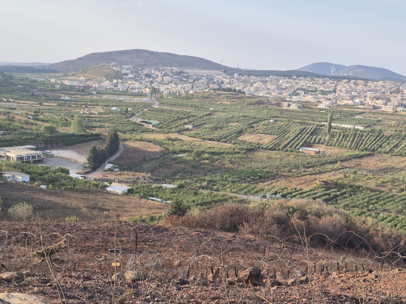 קובץ:2025-08-09T07 01 59.588248617651.jpg