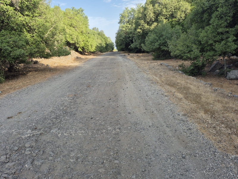 קובץ:2025-08-09T07 48 56.959211276100.jpg