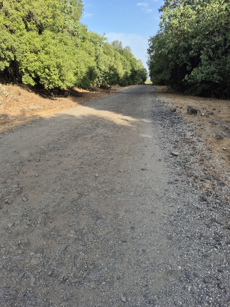 קובץ:2025-08-09T07 49 20.64798621647.jpg