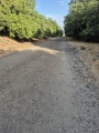 תמונה ממוזערת לגרסה מתאריך 04:23, 9 באוגוסט 2025