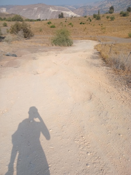קובץ:2025-08-10T16 09 49.966592850695.jpg