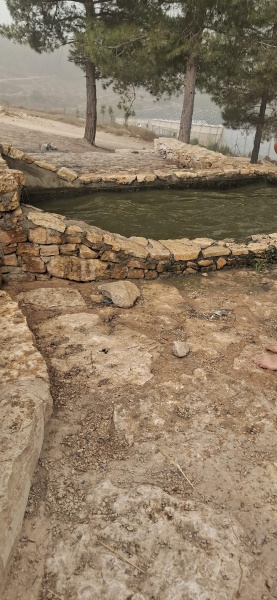 קובץ:2025-08-11T08 45 38.645013392564.jpg