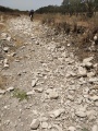 תמונה ממוזערת לגרסה מתאריך 11:53, 11 באוגוסט 2025