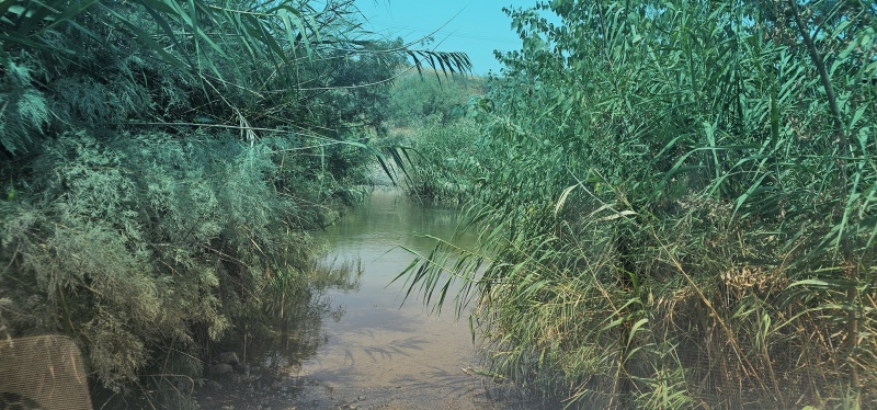 קובץ:2025-08-11T12 57 35.625595201497.jpg