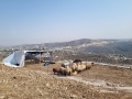 תמונה ממוזערת לגרסה מתאריך 13:02, 11 באוגוסט 2025
