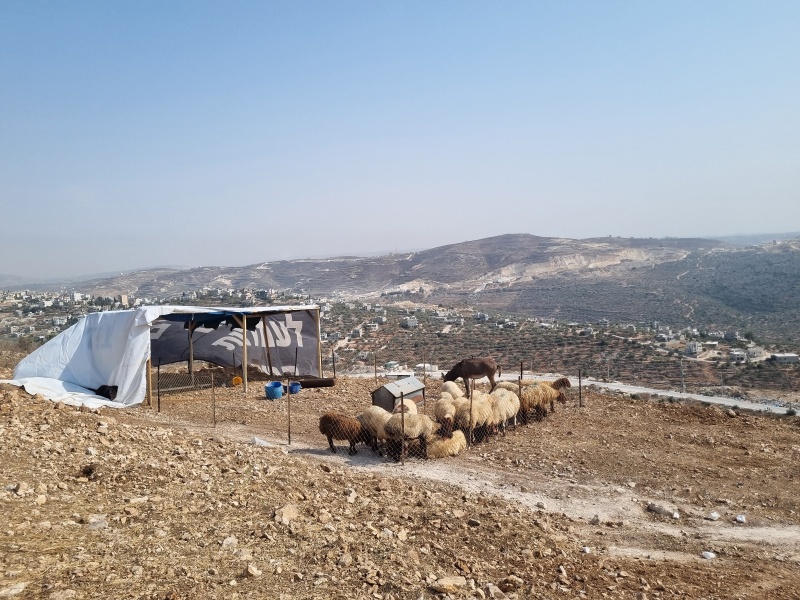 קובץ:2025-08-11T16 29 30.856660975160.jpg