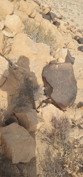קובץ:2025-08-13T17 11 17.383378841150.jpg
