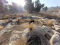 תמונה ממוזערת לגרסה מתאריך 13:15, 20 באוגוסט 2025