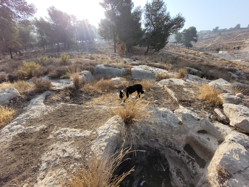 קובץ:2025-08-14T08 08 31.108355562364.jpg
