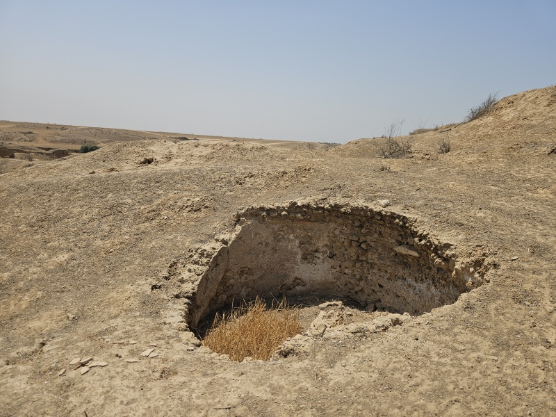 קובץ:2025-08-14T12 50 48.106114465955.jpg