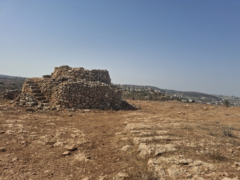 קובץ:2025-08-15T09 52 04.178585416413.jpg