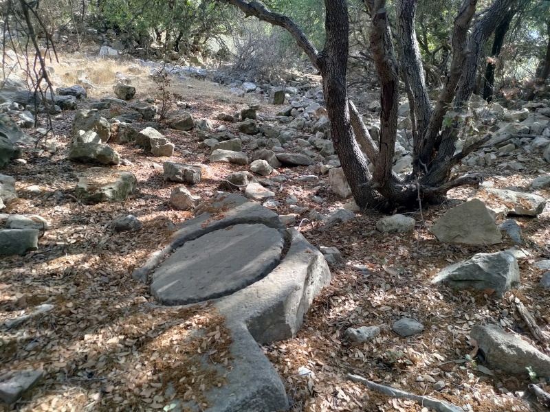 קובץ:2025-08-16T09 01 29.677777818294.jpg