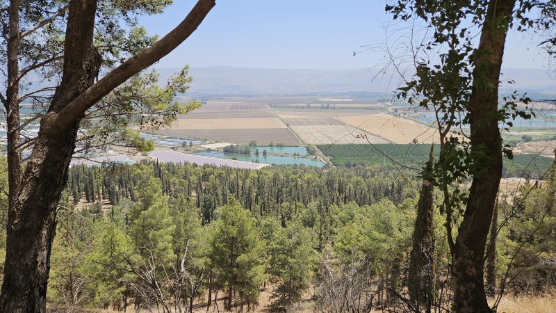 קובץ:2025-08-16T12 16 41.097038193890.jpg