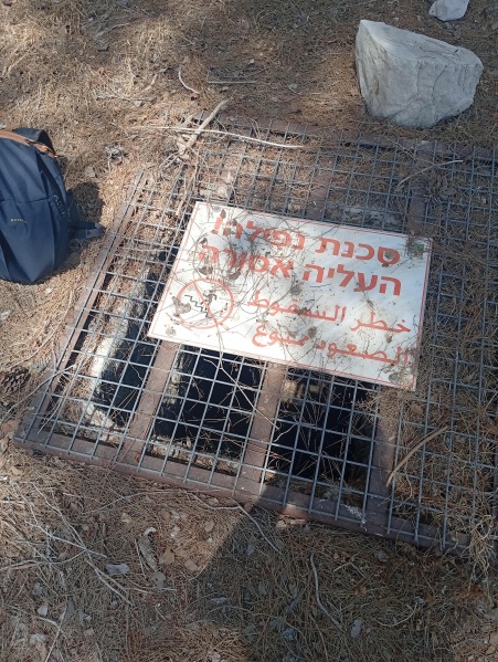 קובץ:2025-08-16T13 15 36.351464370840.jpg