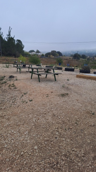 קובץ:2025-08-19T07 51 32.325706312087.jpg