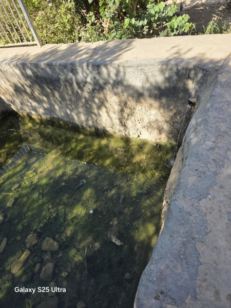 קובץ:2025-08-19T09 19 52.772911660561.jpg