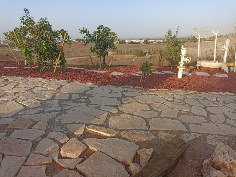 קובץ:2025-08-19T18 29 19.174146580884.jpg