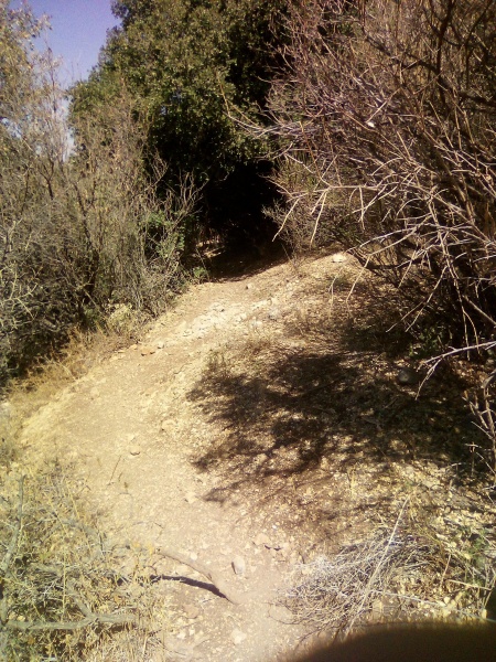 קובץ:2025-08-20T14 44 37.026363344123.jpg