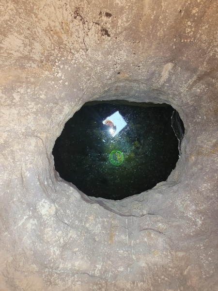 קובץ:2025-08-20T16 46 27.27299266811.jpg