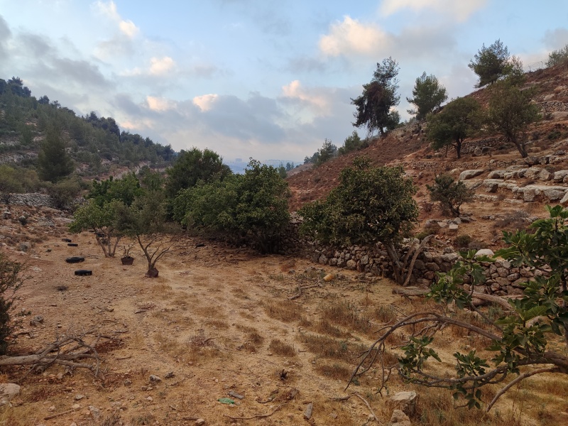 קובץ:2025-08-21T06 30 44.896609551600.jpg