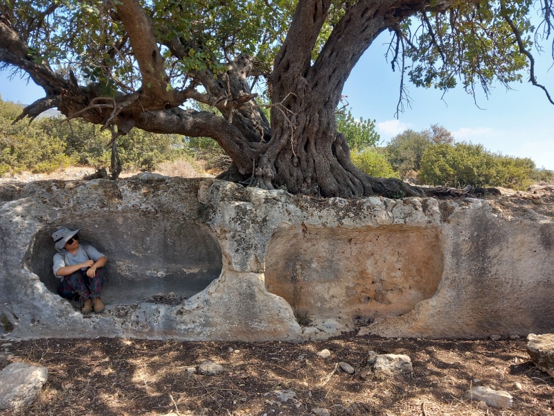 קובץ:2025-08-21T10 58 31.395202196876.jpg