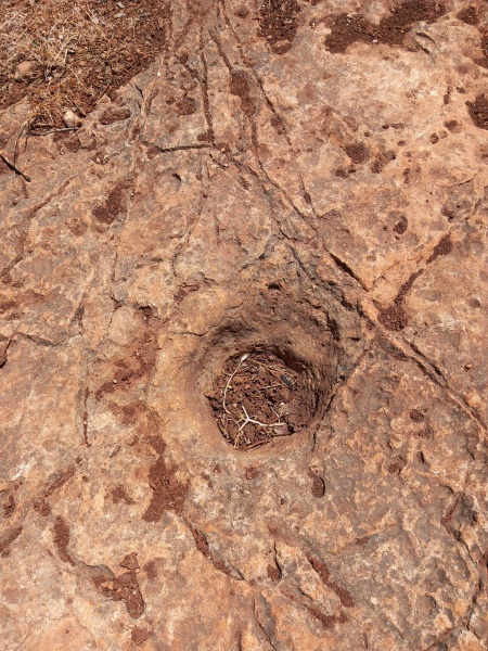 קובץ:2025-08-21T12 01 24.402082944261.jpg