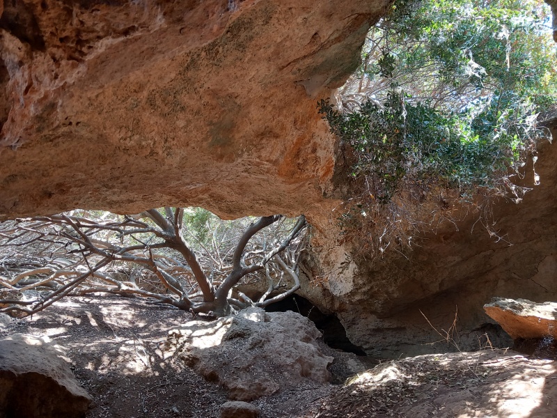 קובץ:2025-08-21T12 29 53.475941834171.jpg
