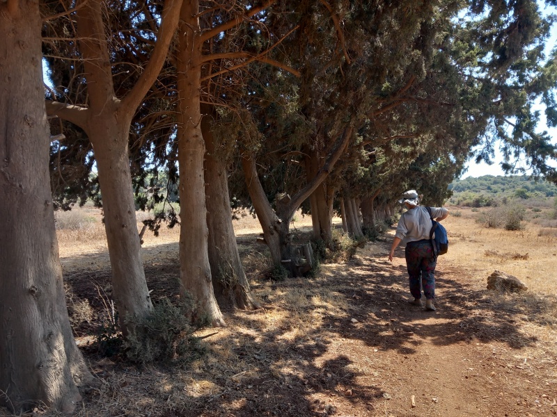 קובץ:2025-08-21T14 22 57.611574500721.jpg