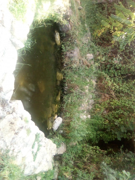 קובץ:2025-08-21T15 28 15.522421238802.jpg