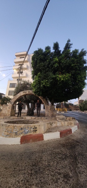 קובץ:2025-08-22T06 52 52.469072394987.jpg