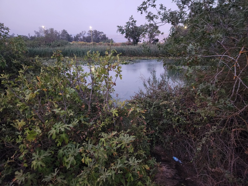 קובץ:2025-08-22T07 44 17.959781789247.jpg