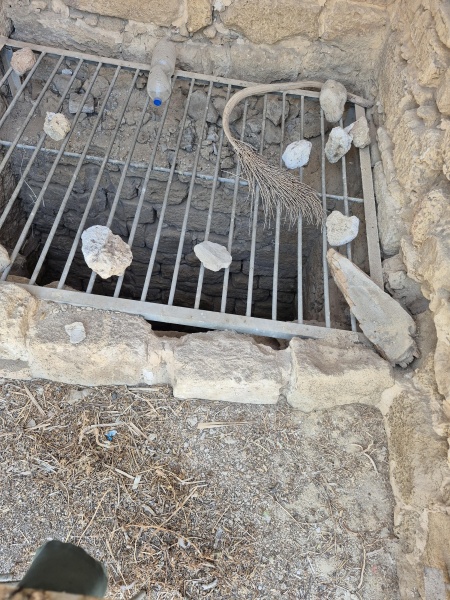 קובץ:2025-08-22T16 01 23.568332430061.jpg