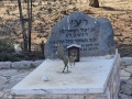 תמונה ממוזערת לגרסה מתאריך 04:50, 23 באוגוסט 2025
