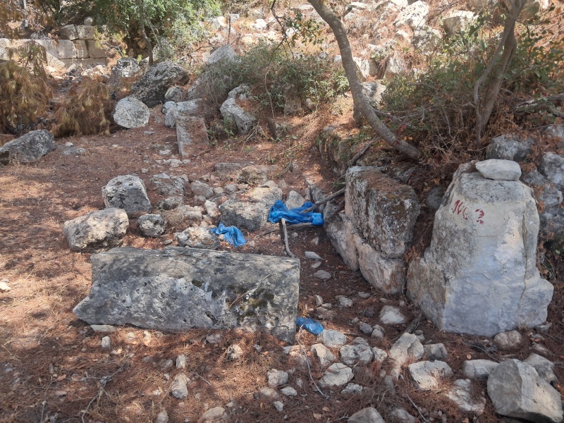 קובץ:2025-08-24T13 05 50.635030907711.jpg