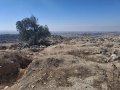 תמונה ממוזערת לגרסה מתאריך 17:44, 24 באוגוסט 2025