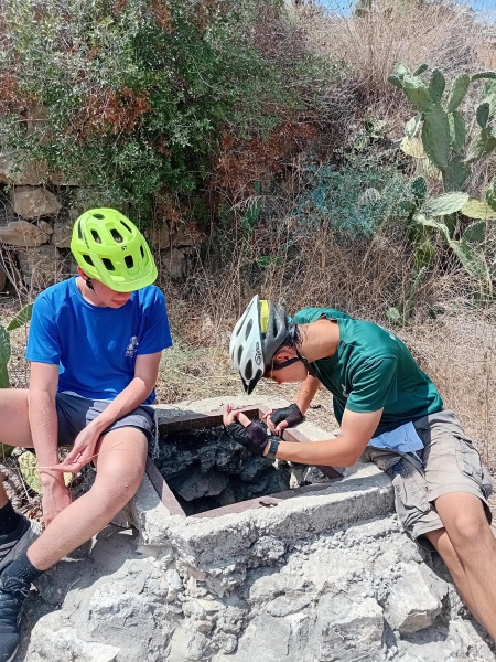 קובץ:2025-08-28T11 43 11.830811173010.jpg