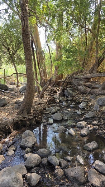 קובץ:2025-09-02T10 53 24.712056832387.jpg